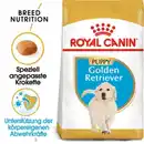 Bild 1 von ROYAL CANIN Golden Retriever Puppy 12 kg