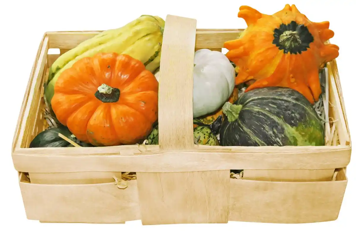 Bild 1 von Zierkürbis im Spankorb