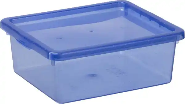 Bild 3 von Aufbewahrungsbox »Glitzer« ca. 1,7 l