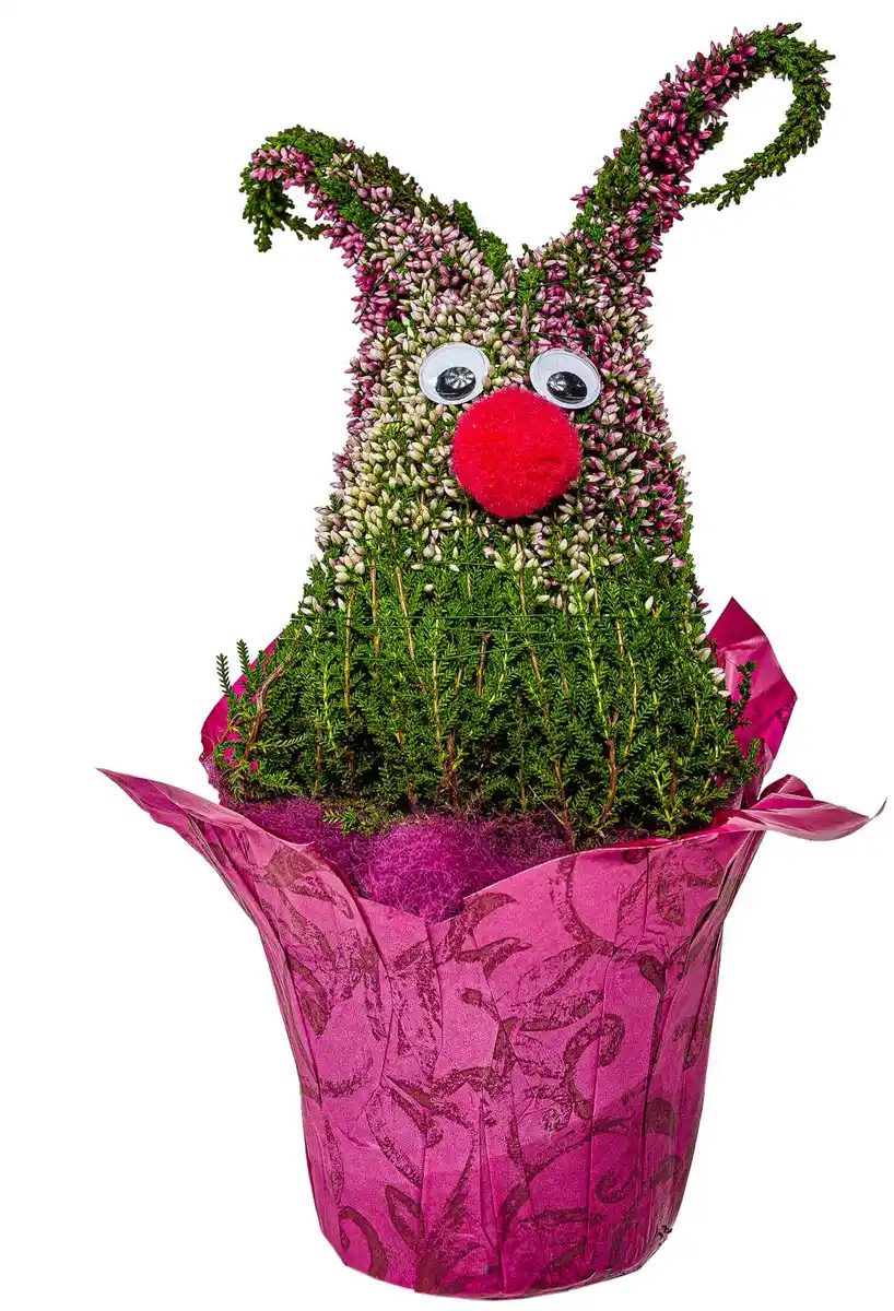 Bild 2 von Herbstheide