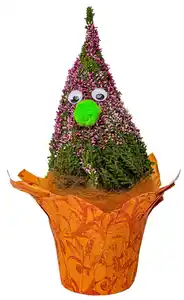 Herbstheide