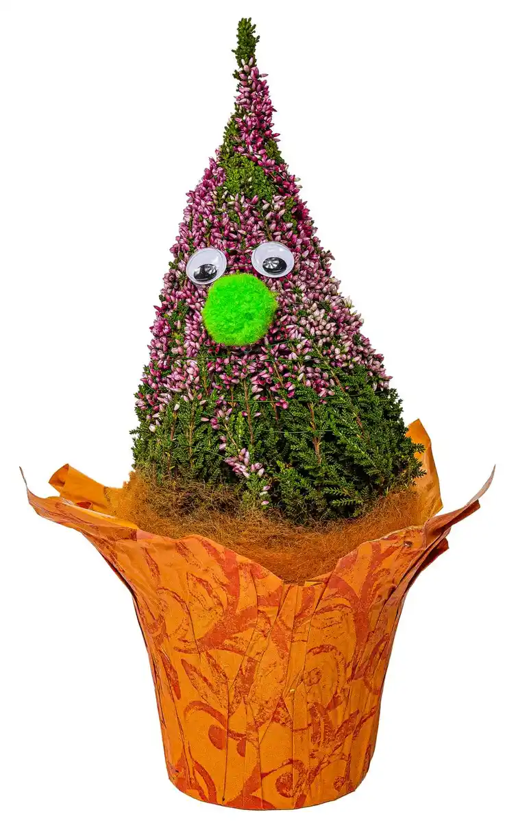 Bild 1 von Herbstheide