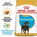 Bild 1 von ROYAL CANIN Rottweiler Puppy 12 kg