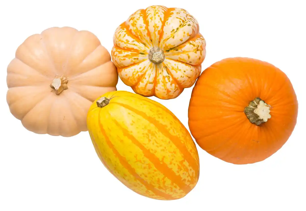 Bild 1 von Dtsch. Kürbisspezialitäten, lose, kg