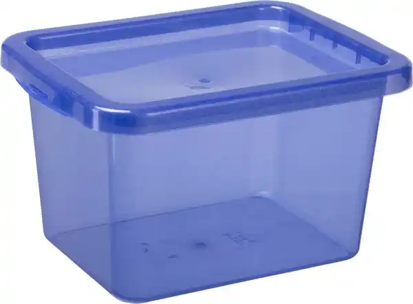 Bild 3 von Aufbewahrungsbox »Glitzer« ca. 9 l