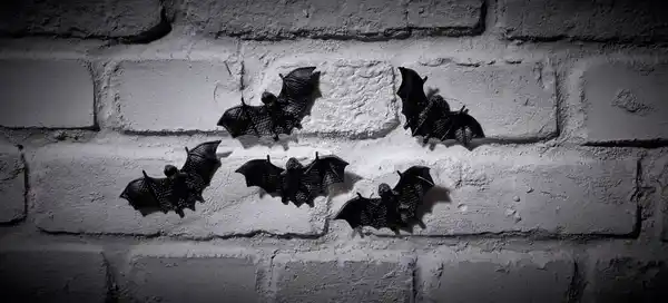 Bild 2 von Halloween-Fledermäuse, 5-St.-Packg.