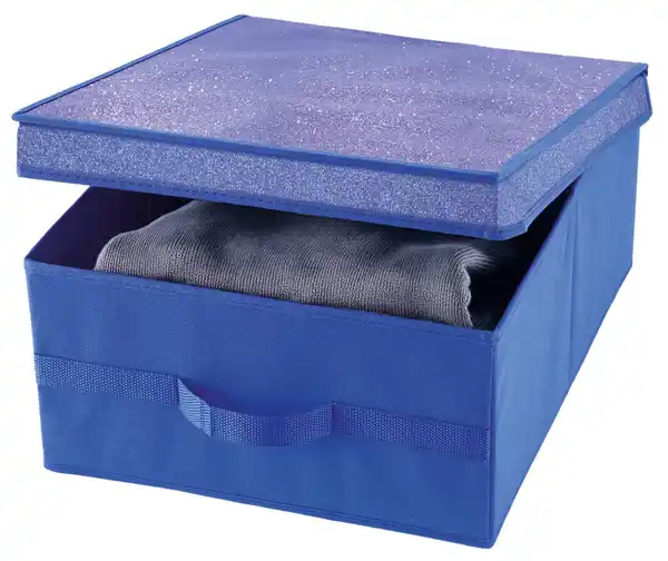 Bild 2 von DOMOPAK LIVING Textilbox M »Glitter«