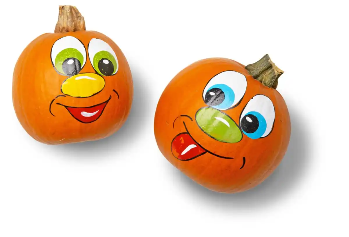 Bild 1 von Dtsch. Kürbis, lose, Stück