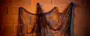 Bild 2 von Halloween-Gruselnetz