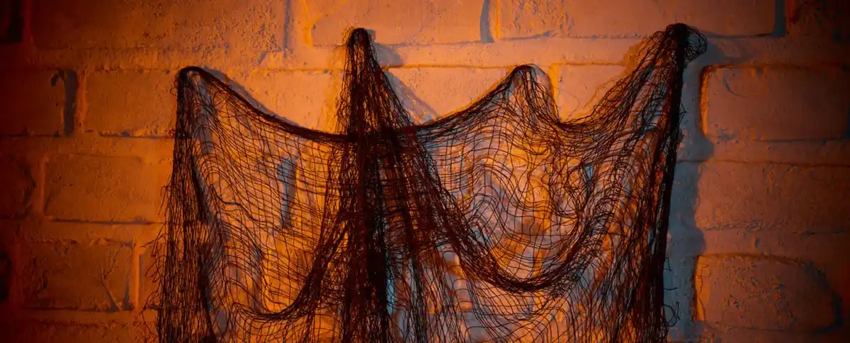 Bild 2 von Halloween-Gruselnetz