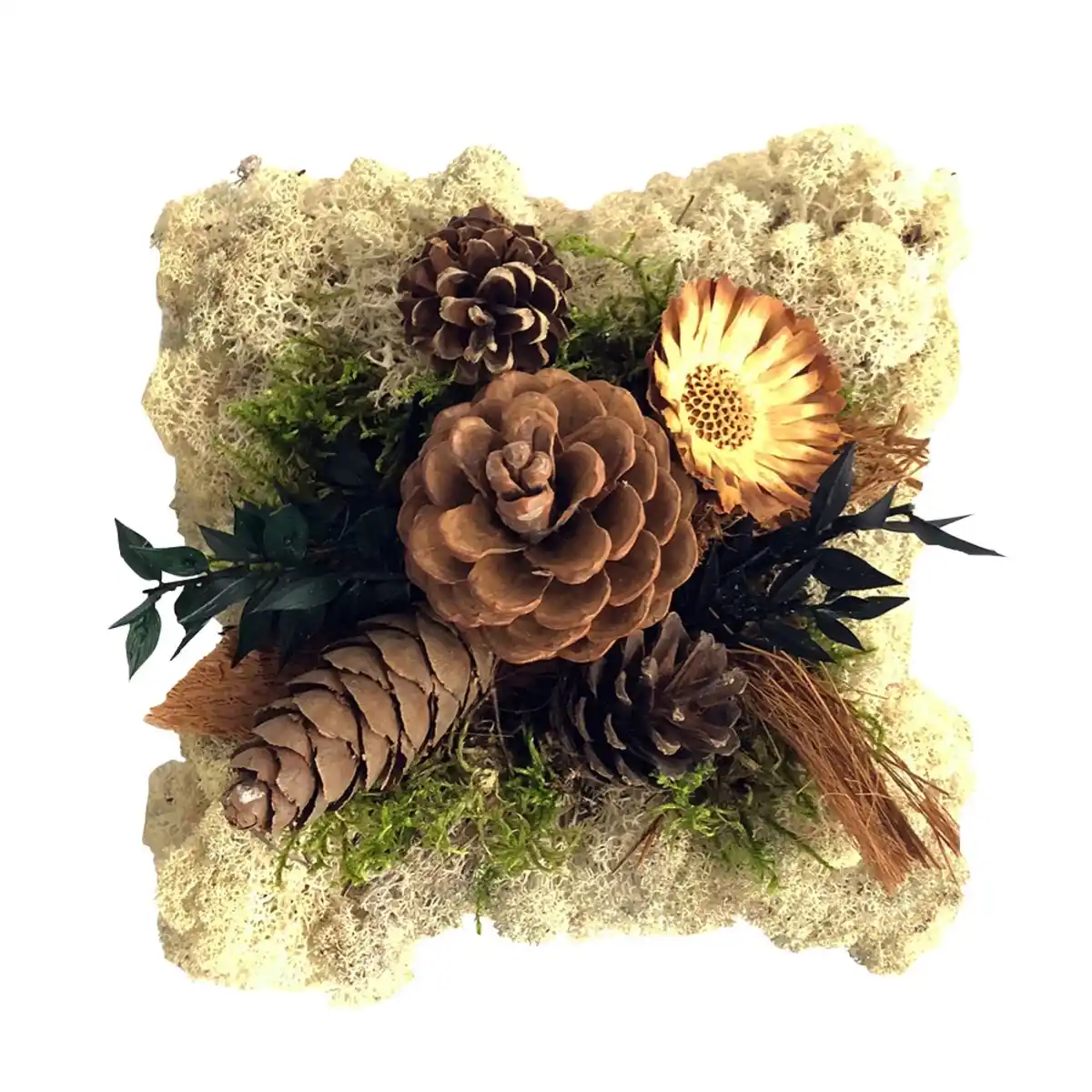 Bild 1 von Grab-Mooskissen ca. 20x20cm