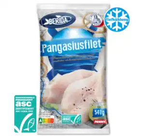 BERIDA Pangasiusfilet