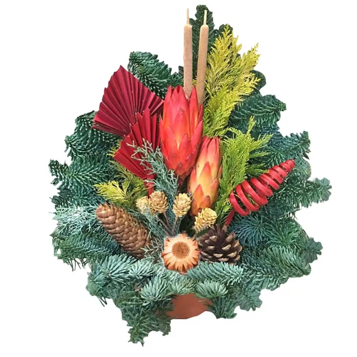 Bild 1 von Grabschale-Gesteck im Tontopf