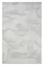 Bild 1 von Teppich Siena , 200cm x 290cm, Farbe Beige, rechteckig, Florhöhe 10mm