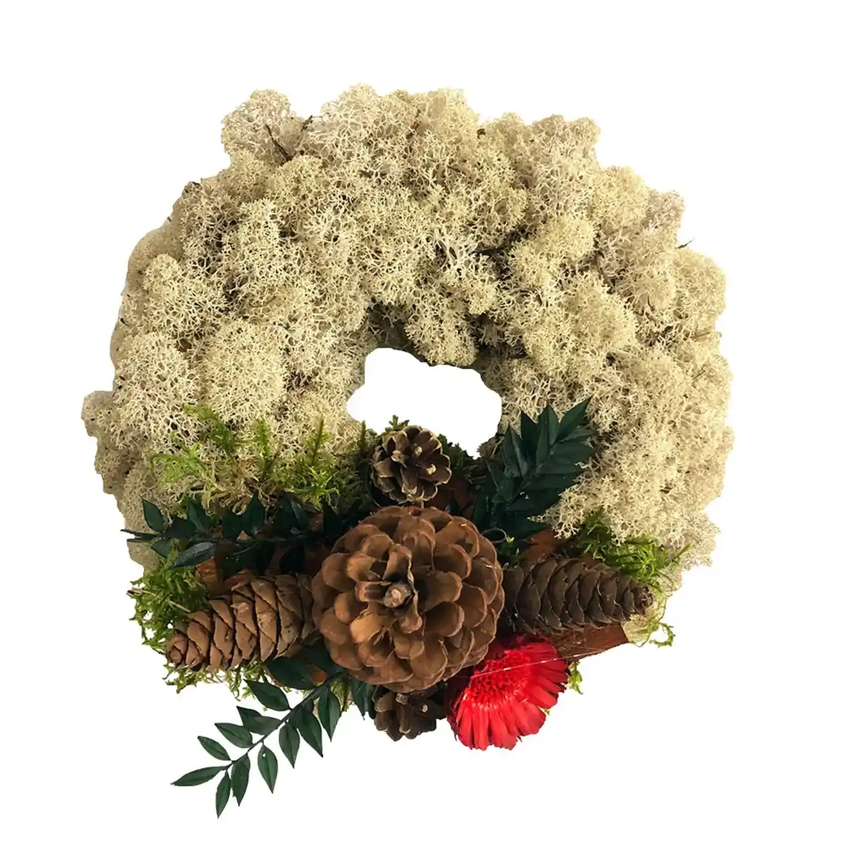 Bild 1 von Grab-Mooskranz ca. 25cm