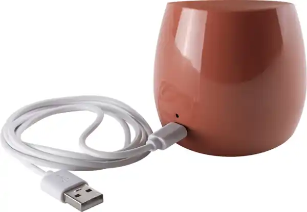 Bild 3 von IDEENWELT Akku-Pilzleuchte ca. 13 cm hoch rostbraun