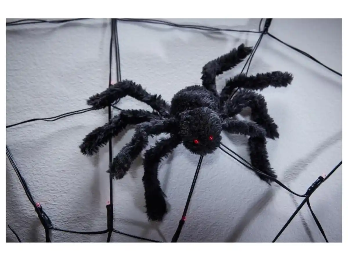 Bild 3 von LIVARNO home LED-Spinnennetz