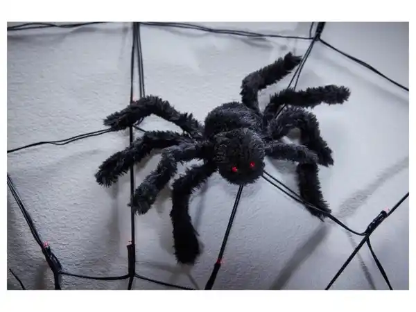 Bild 3 von LIVARNO home LED-Spinnennetz