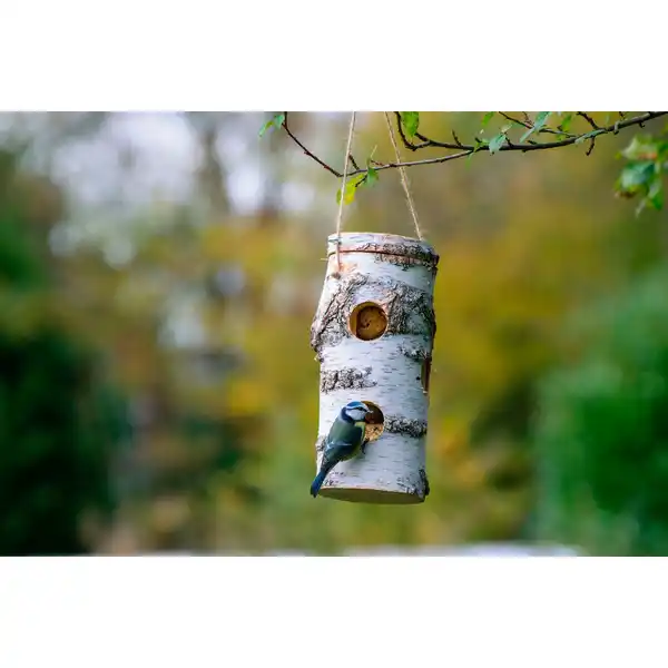 Bild 4 von DOBAR Futterspender, aus naturbelassener Birke, BxHxL: 11 x 26 x 11cm