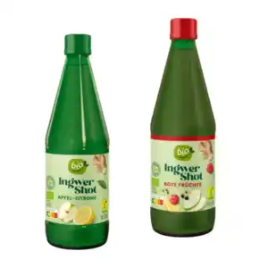 BIO Ingwer-Shot 0,5L