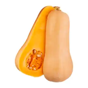 Speisekürbis „Butternut“