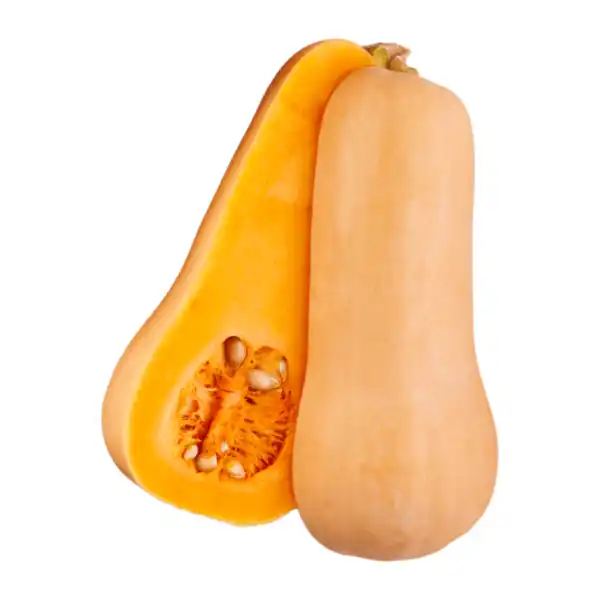 Bild 1 von Speisekürbis „Butternut“