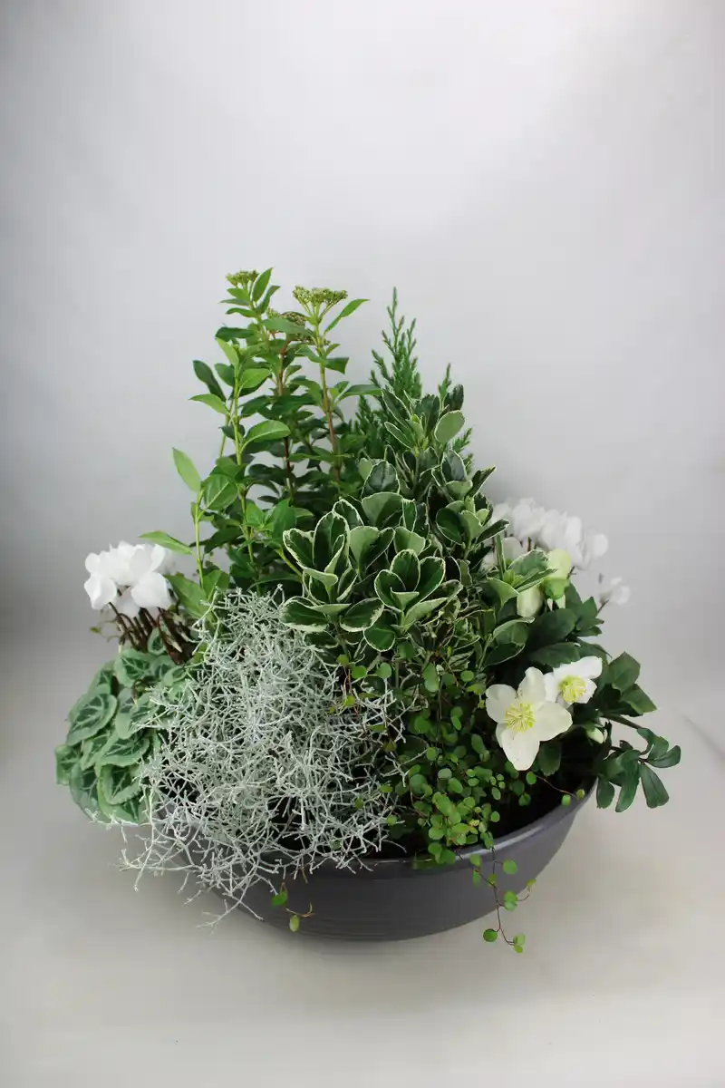 Bild 1 von Arrangement Outdoor Nr. 5