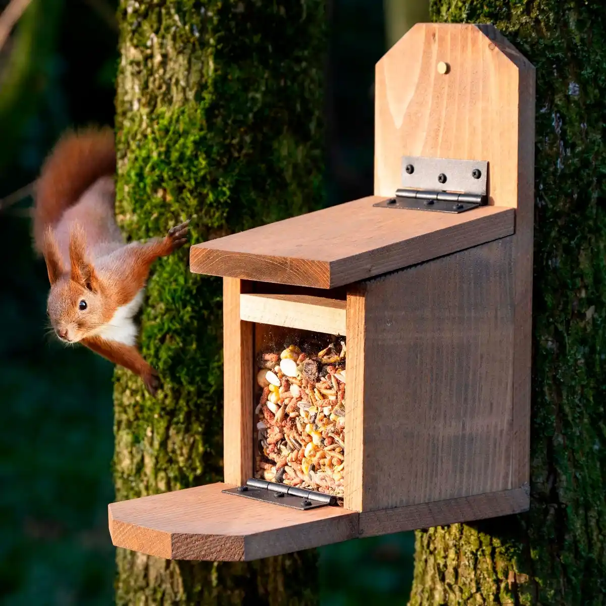 Bild 3 von DOBAR Futterstation »Pärnu«, BxHxL: 12 x 28 x 24 cm, braun