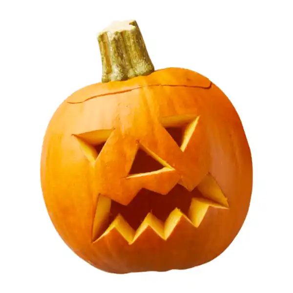 Bild 1 von Speise- und Schnitzkürbis „Halloween“