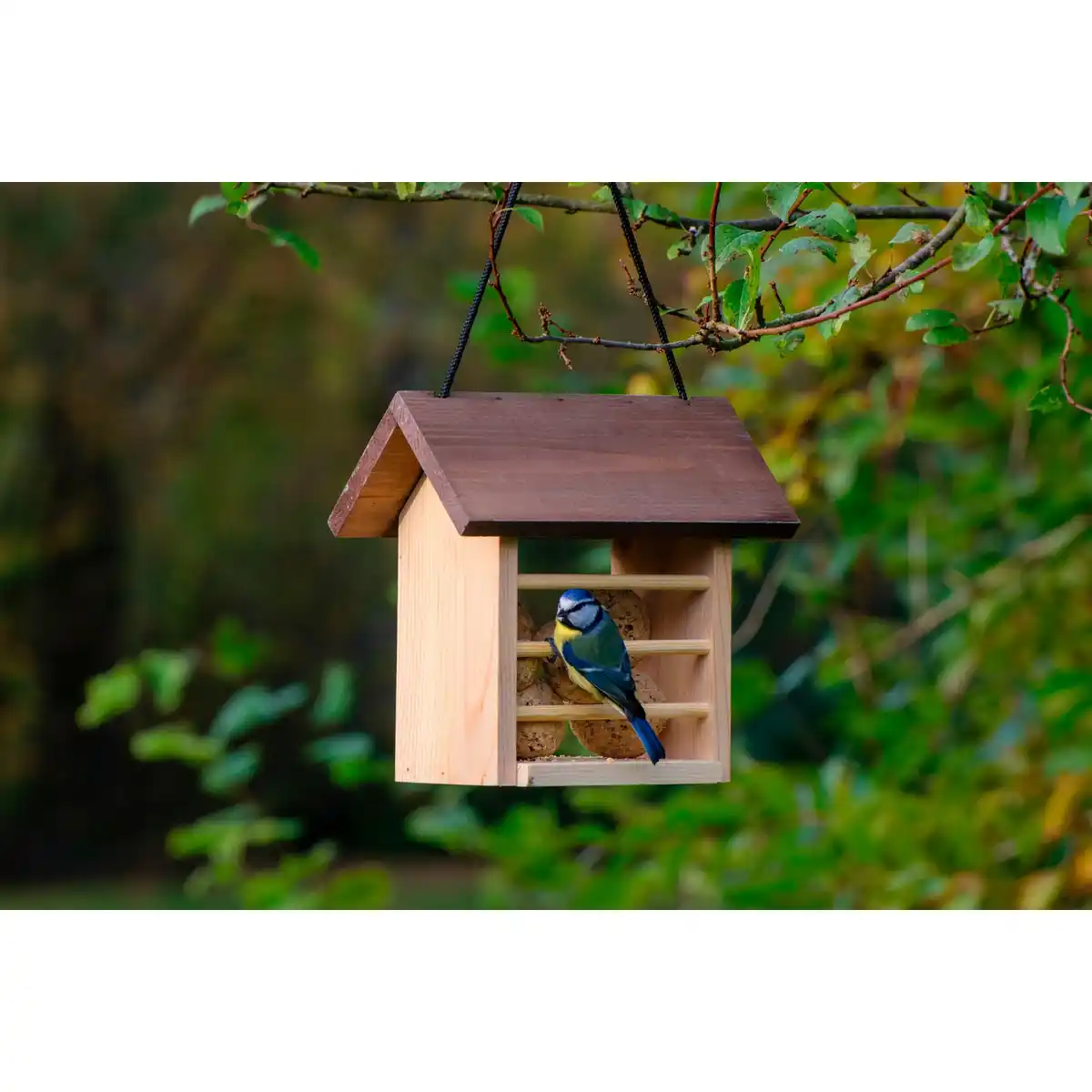 Bild 3 von DOBAR Futterspender, aus Holz, zum Aufhängen, BxHxL: 14 x 21 x 22cm