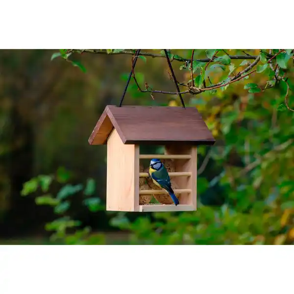 Bild 3 von DOBAR Futterspender, aus Holz, zum Aufhängen, BxHxL: 14 x 21 x 22cm