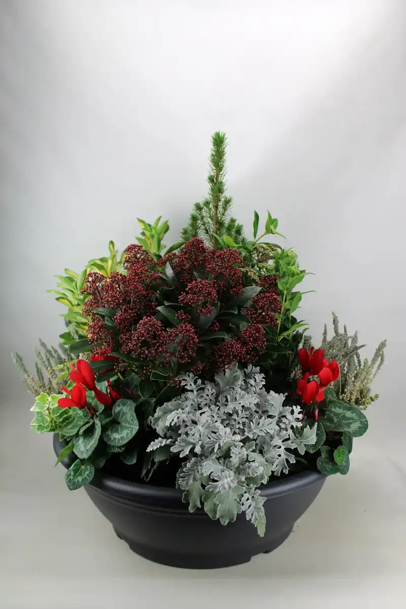 Bild 1 von Arrangement Outdoor Nr. 6