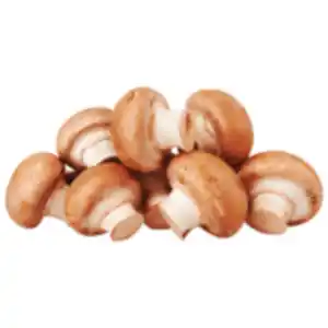 Braune Bio Champignons