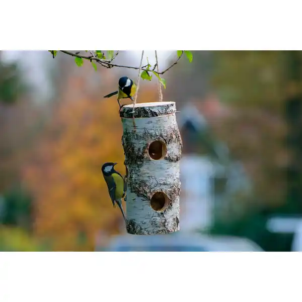 Bild 3 von DOBAR Futterspender, aus naturbelassener Birke, BxHxL: 11 x 26 x 11cm