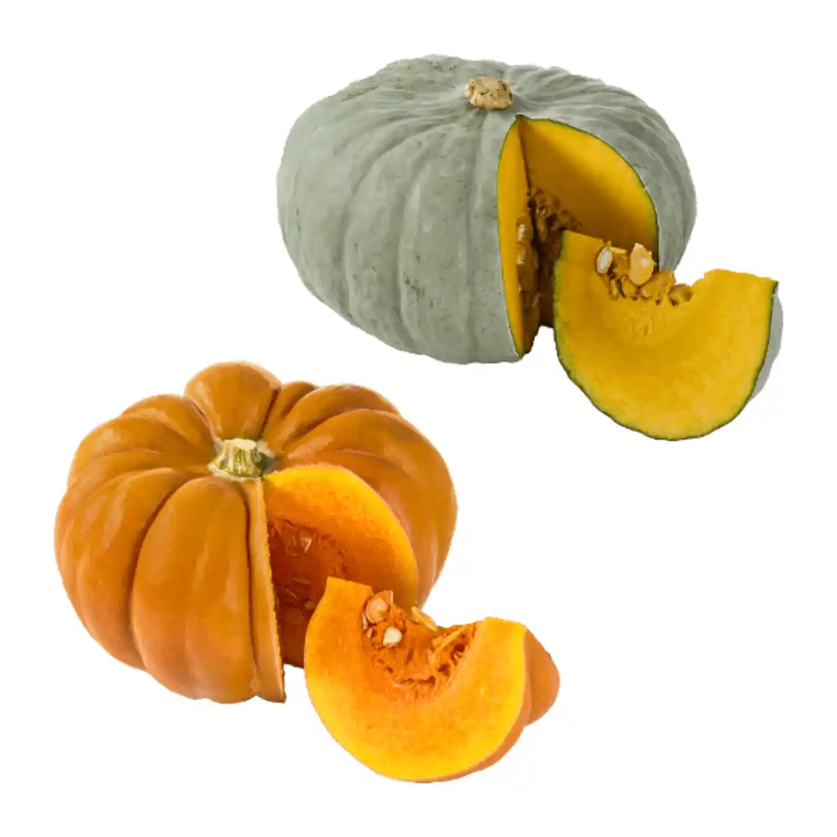 Bild 1 von Speisekürbisse