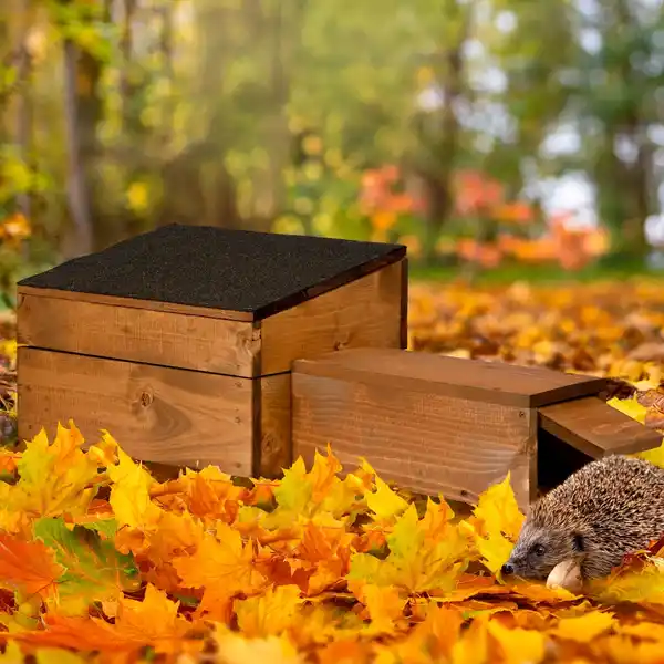 Bild 4 von DOBAR Igelhaus, BxHxL: 29 x 24 x 74,5 cm, braun