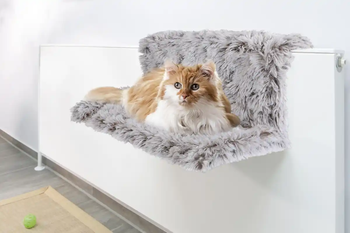 Bild 1 von Heizungsliege