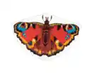 Bild 1 von Flugdrachen Pfauenauge 92x62cm