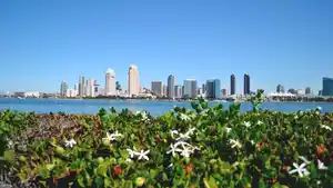 Rundreisen USA - Westküste: Grand Canyon, Yosemite & mehr: Naturwunder hautnah erleben