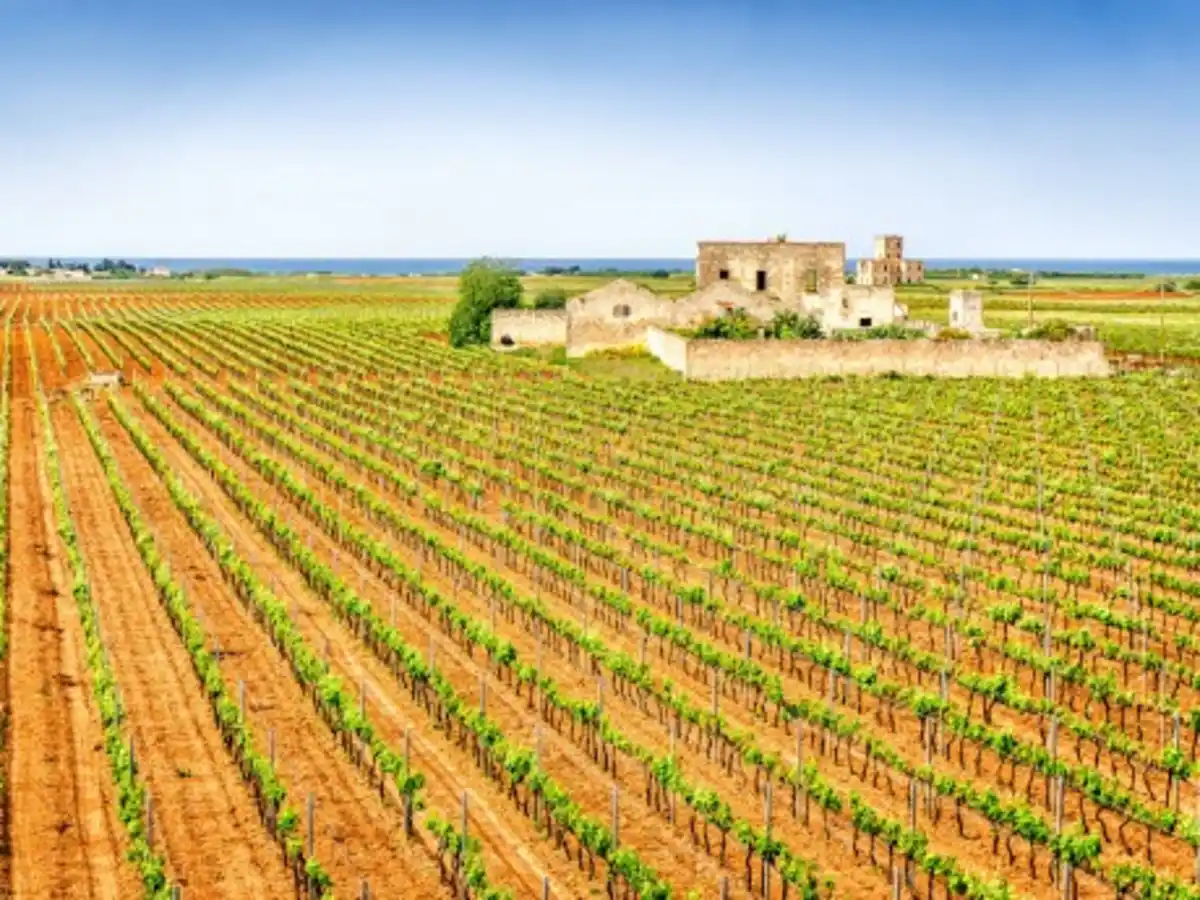 Bild 1 von Rundreisen Italien - Apulien: Flexible Mietwagen-Rundreise ab/an Bari: Apulien für Genießer