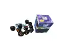 Bild 1 von LED Lichterkette Kürbis novooo, schwarz, 10LED