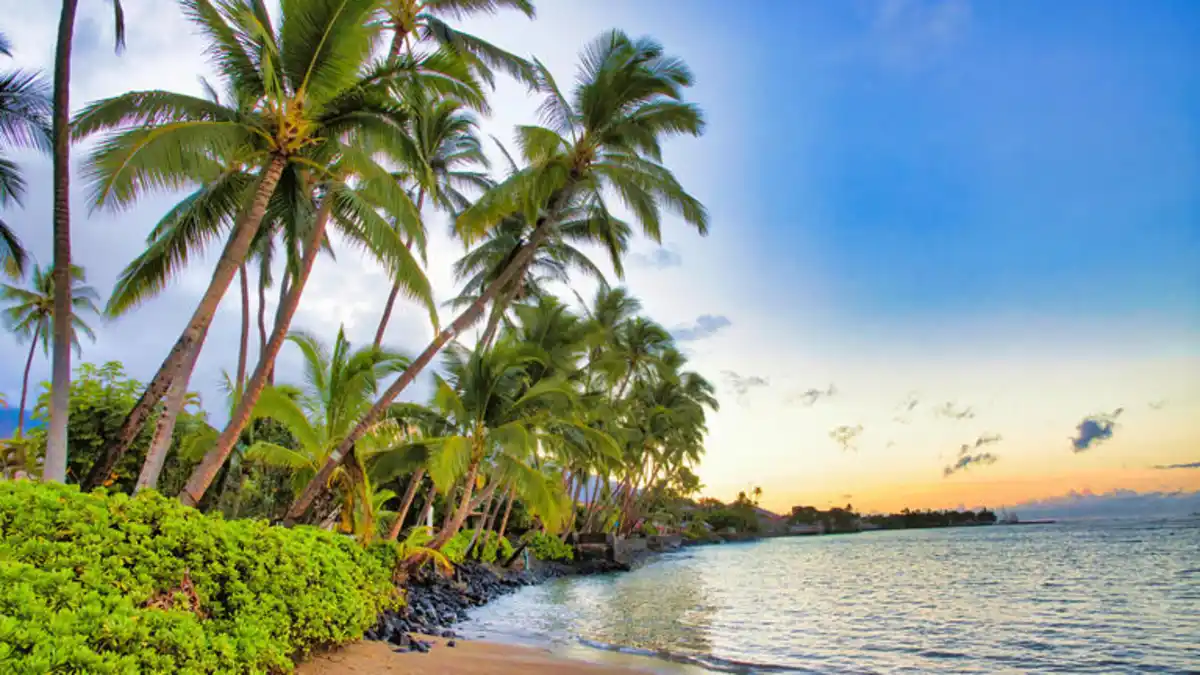 Bild 1 von Kreuzfahrten Ozeanien & Hawaii: Kreuzfahrt mit der Crown Princess ab/an Sydney inkl. Vorprogramm in Sydney