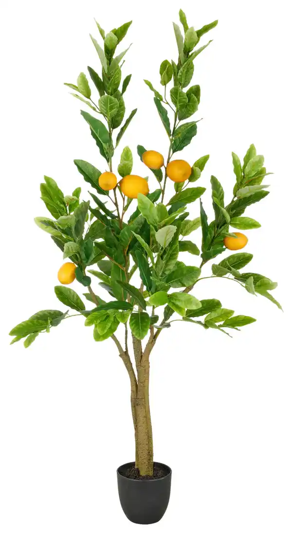 Bild 1 von Kunstpflanze Zitronenbaum I Grün/Gelb, Grün