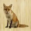 Bild 1 von Babywanddeko Felix Fuchs, Mehrfarbig, Holz, Birke, 40x40x3 cm, Babymöbel, Kinderzimmer-Deko, Babyzimmer Wanddeko