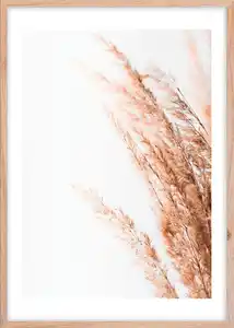 Bild Image ca. 50x70cm, Weiß, Beige