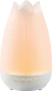 SWITCH ON® Ultraschall-Aroma-Diffuser »Blüte«