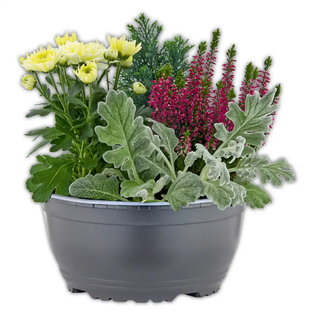 Bild 1 von Herbstschale