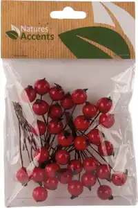 Deko-Stecker »Beeren«, Packg.