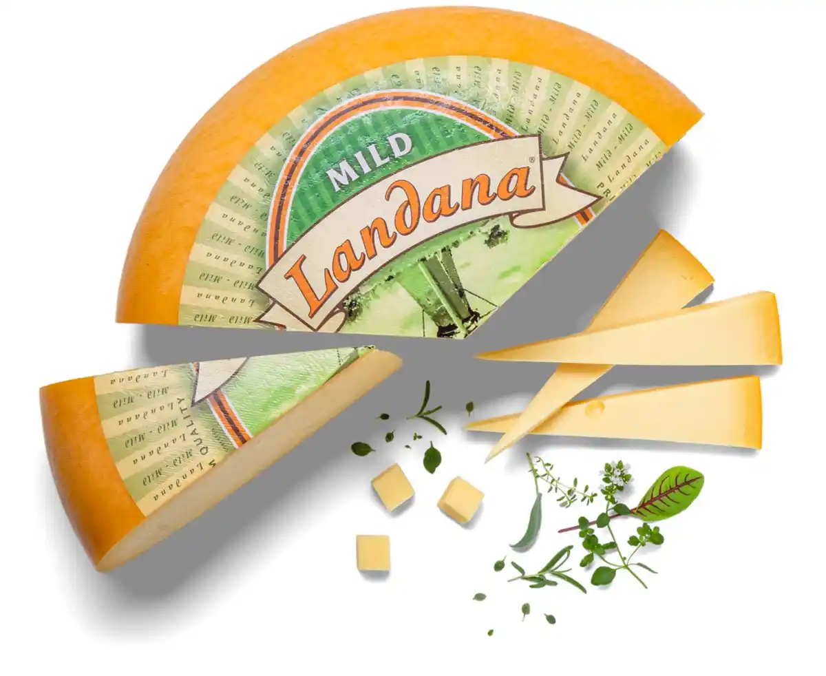 Bild 1 von LANDANA Gouda mild, 100 g