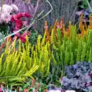 Bild 2 von Herbst Mix Quattro